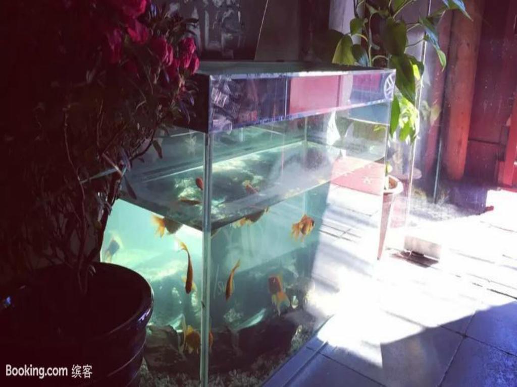 Three Legged Frog Hostel بكين المظهر الخارجي الصورة